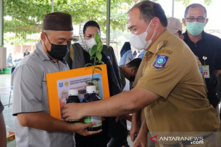 Gubernur Bangka Belitung serahkan 67.840 bibit lada ke petani Desa Bencah