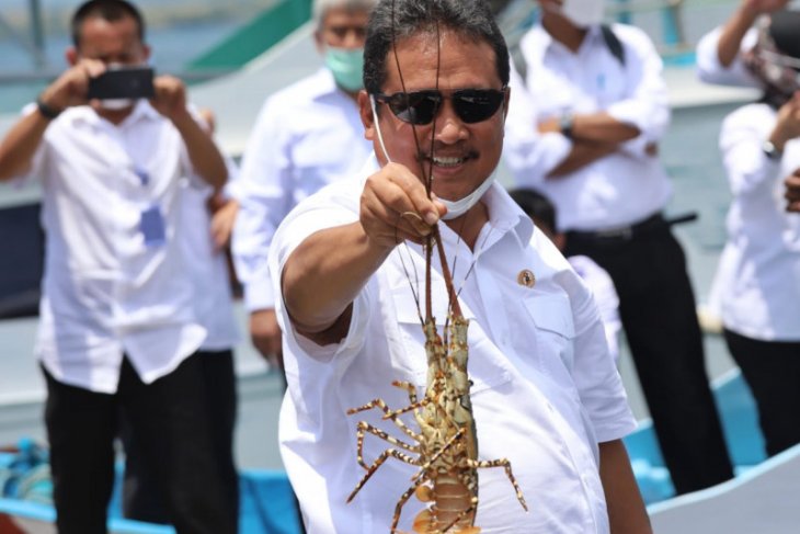 Menteri Kelautan: Ekonomi biru perlu penguatan riset