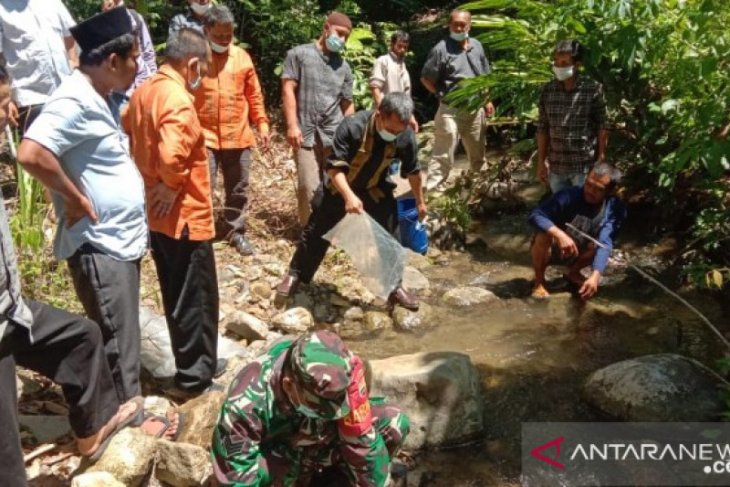 Inisiasi LSLI, seribuan ekor benih ikan jurung ditabur ke sungai koridor hutan Batang Toru
