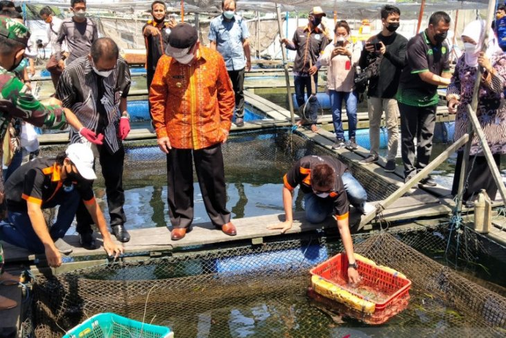 Gubernur Kaltim nilai Kota Bontang berpotensi swasembada ikan
