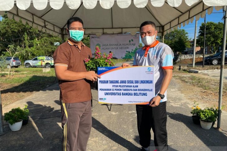 Program Tanggung Jawab Sosial dan Lingkungan, Jasa Raharja Babel Tanam 53 Pohon Tabebuya dan Bougenville