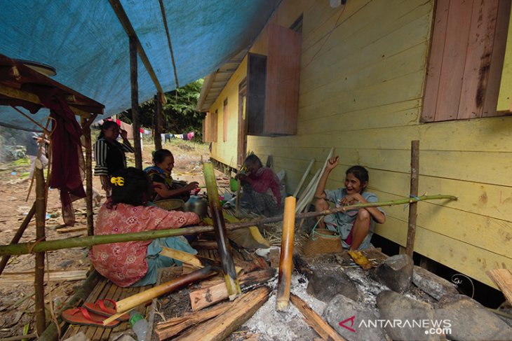 Tradisi Hasil Panen Padi Melimpah Dayak Piani