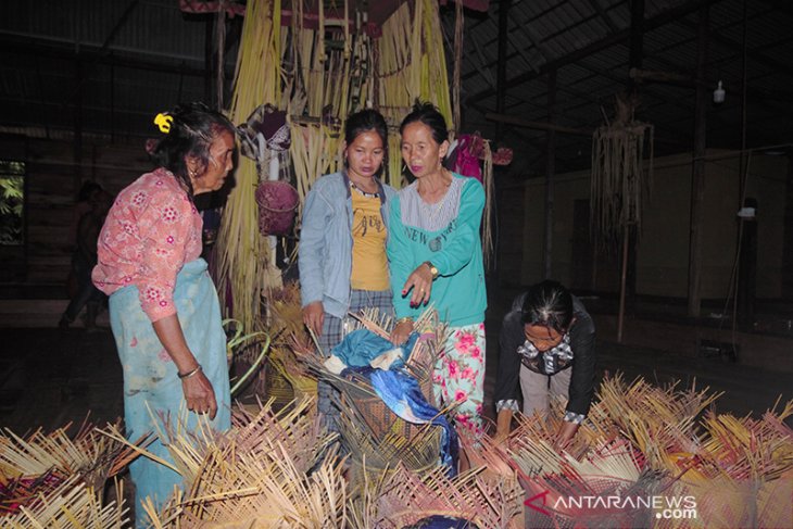 Tradisi Hasil Panen Padi Melimpah Dayak Piani