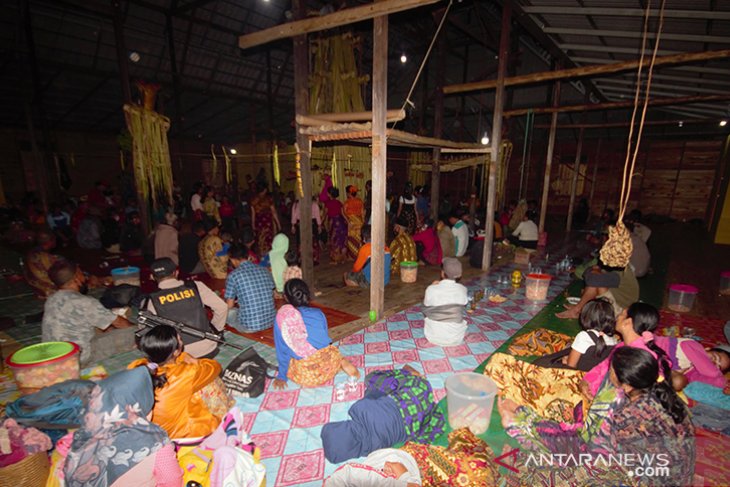 Tradisi Hasil Panen Padi Melimpah Dayak Piani