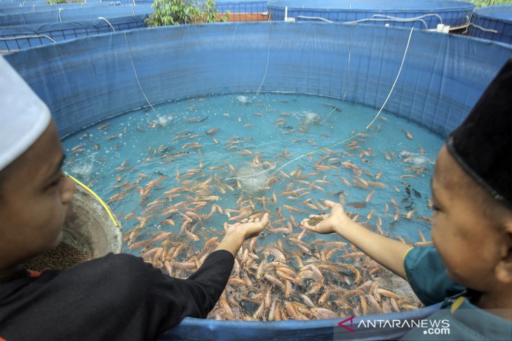 Pesantren di Bogor kembangkan budi daya ikan nila sistem bioflok