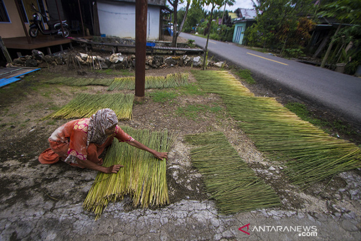 Produksi Kerajinan Purun Menurun Akibat Alih Fungsi Lahan