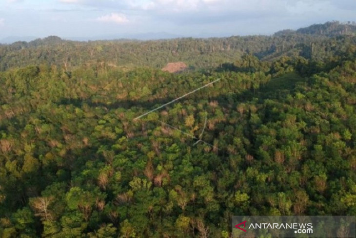 Mendorong Jambi sebagai pusat perhutanan sosial ANTARA