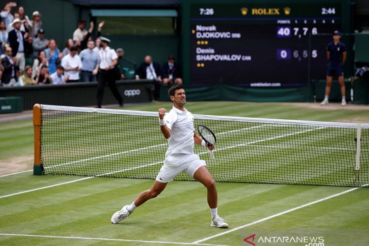 Taklukkan Shapovalov, Djokovic bertemu Berrettini di final Wimbledon 2021