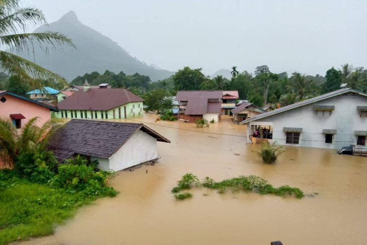 Ratusan rumah warga di Desa Pakak Kabupaten Sintang terendam banjir