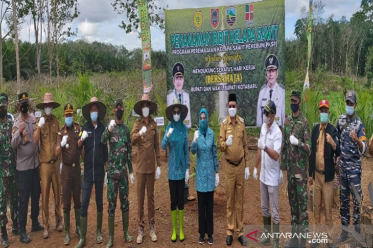 Bupati Kotabaru hadiri program peremajaan kelapa sawit