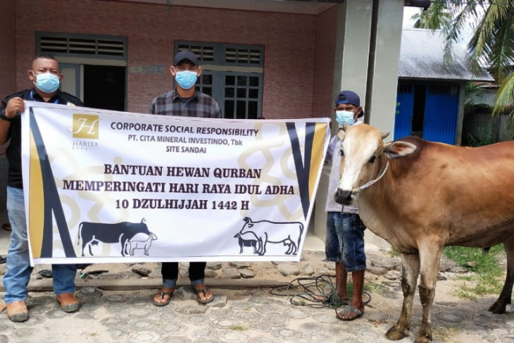 CMI salurkan 9 ekor sapi kurban ke warga