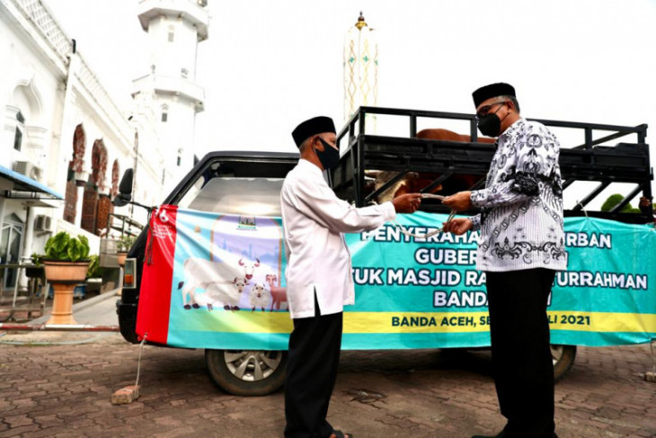 Gubernur Aceh serahkan kurban seberat 700 kilogram