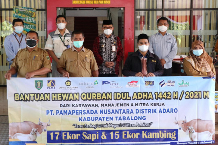 Pemkab Tabalong terima bantuan hewan kurban dari PT Pamapersada