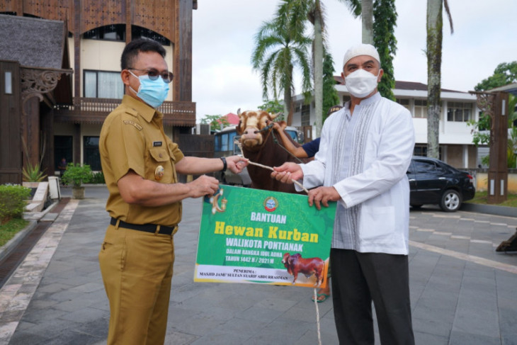 Pemerintah Kota Pontianak sebar 12 ekor sapi kurban