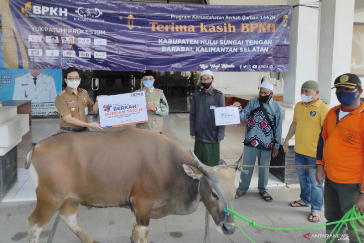 NU CARE - LAZISNU serahkan sebanyak 8 ekor sapi kurban untuk warga Kabupaten HST
