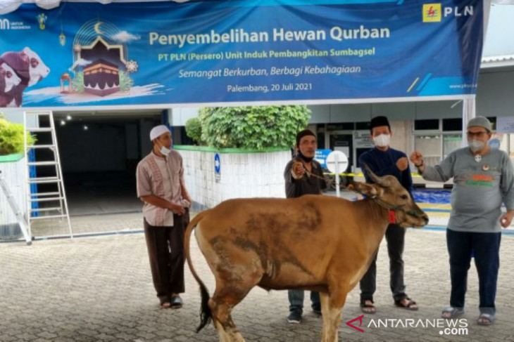 Sambut Idul Adha 1442 H, PLN sumbangkan 2.977 hewan kurban