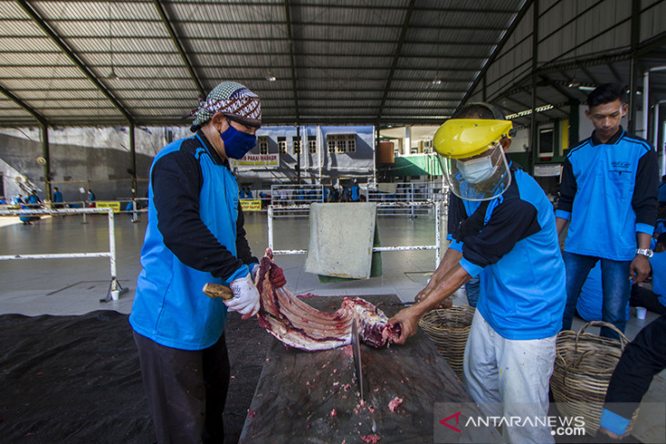 Pemotongan Hewan Kurban Di Banjarmasin