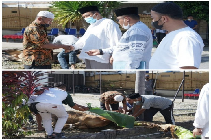 Wali Kota Tebing Tinggi serahkan hewan qurban