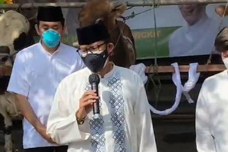 Sandiaga Uno berbagi 1.000 hewan kurban di 17 provinsi