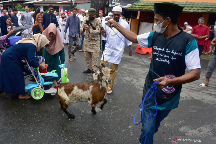 FOTO - Hadrat, Keunikan Tradisi Maluku Saat Hari Raya Idul Adha 