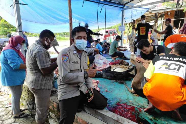 Bhabinkamtibmas Sempan Bangka salurkan dua ekor sapi kurban
