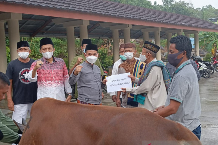 Bupati Bangka serahkan sapi ke panitia Masjid Agung