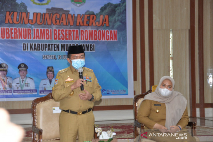 Gubernur sebut Muarojambi daerah pertumbuhan baru ekonomi Jambi