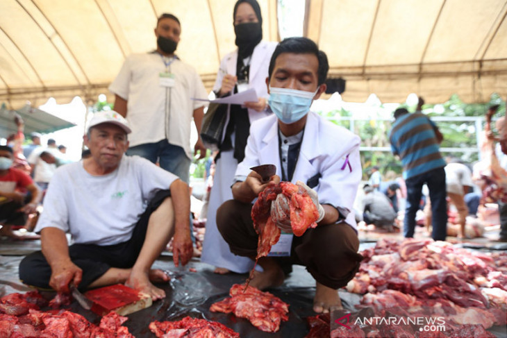 Pemeriksaan Kelayakan Daging Kurban