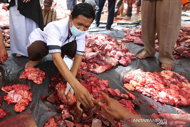 Pemeriksaan Kelayakan Daging Kurban