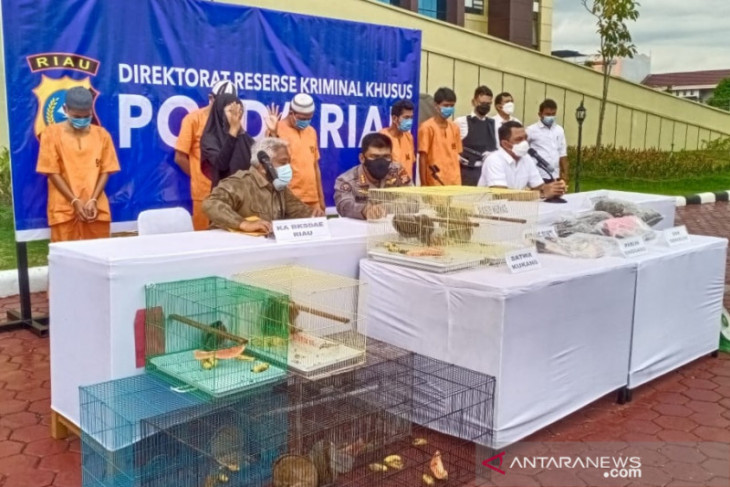 Waspada penjualan satwa dilindungi marak di media sosial
