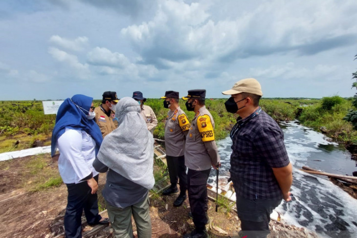 Kapolda tinjau fungsi sekat kanal di Tahura Muarojambi