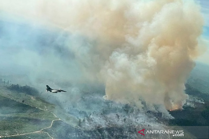Mengerikan penampakan luasnya kebakaran hutan dan lahan terlihat dari jet tempur F-16