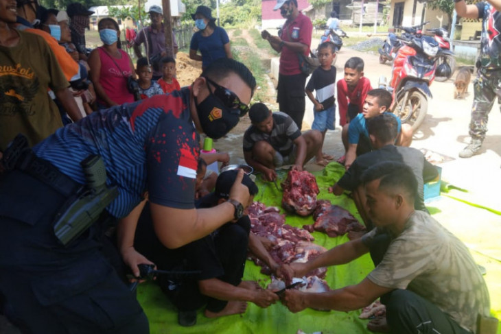 PT SRM bagikan sapi kurban ke warga