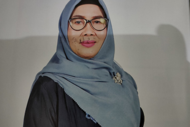 Pansus i ke Tanbu serap aspirasi pembentukan Perda SPBE Kalsel
