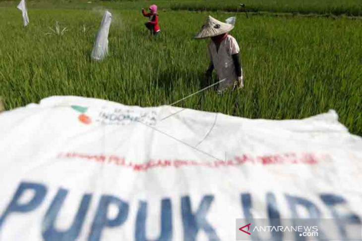 Stok pupuk bersubsidi di Aceh masih aman, ini jumlahnya
