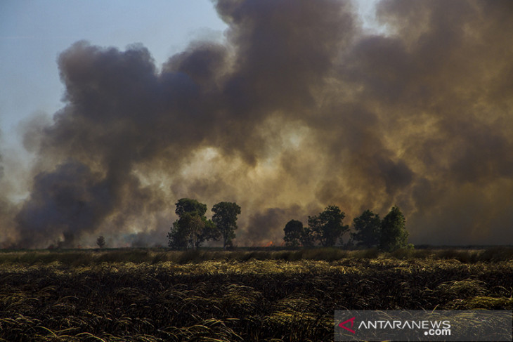 Kebakaran Hutan Dan Lahan Di Kalsel