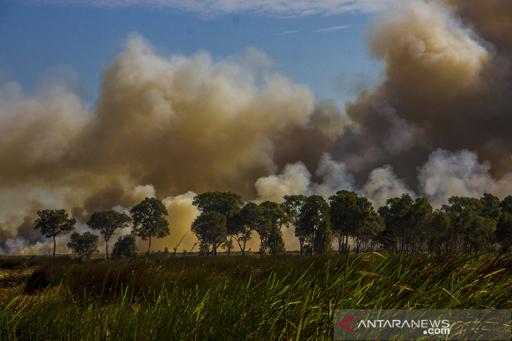 Kebakaran Hutan Dan Lahan Di Kalsel