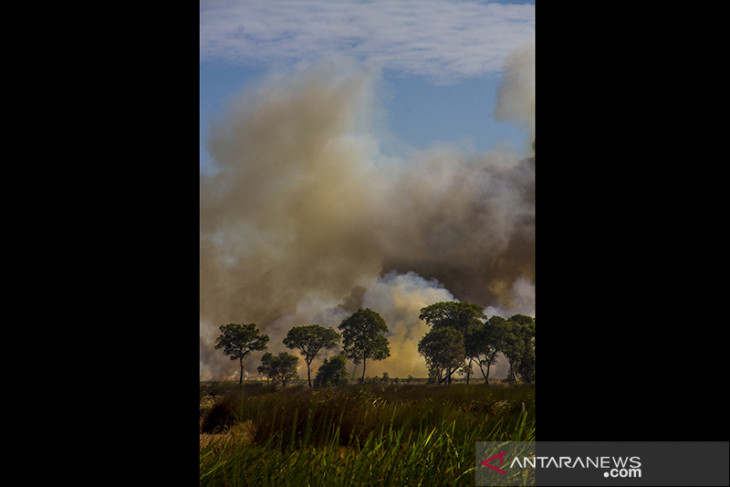 Kebakaran Hutan Dan Lahan Di Kalsel