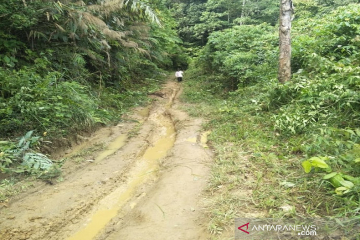 Minim infrastruktur, jalan menuju Banjar Lancat memprihatinkan