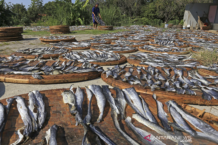 Industri kerupuk kulit ikan bertahan di masa pandemi 
