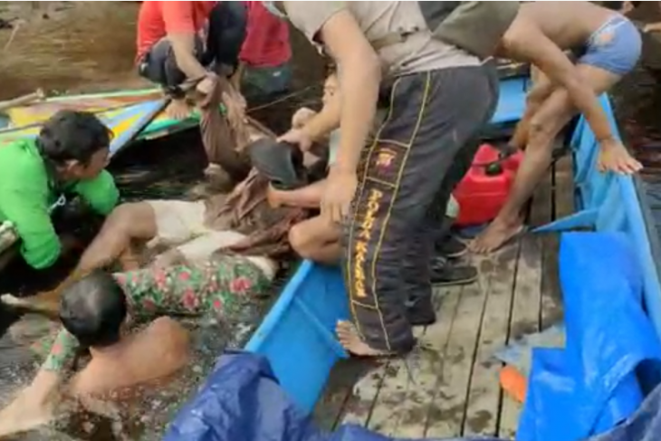 Sepasang suami istri tewas tenggelam di kawasan Danau Sentarum