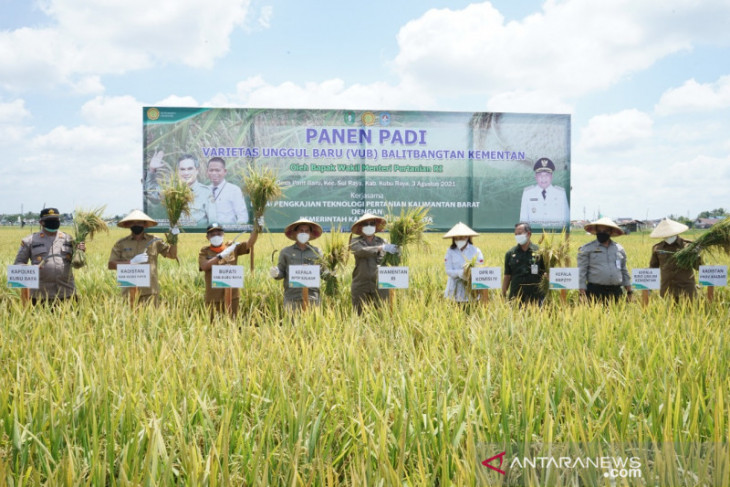 Wamentan harapkan petani milenial terus bertambah