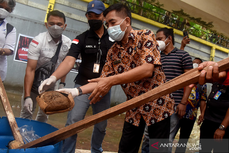 FOTO - Pengungkapan Kasus Narkoba BNNP Maluku Semester I-2021