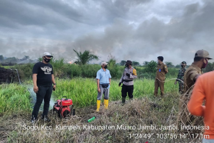 Karhutla di Jambi dalam tujuh bulan hanguskan 133,49 hektare