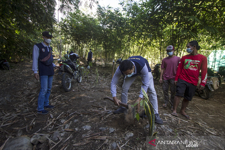 Penanaman 1000 Pohon di Pedalaman Pegunungan Meratus