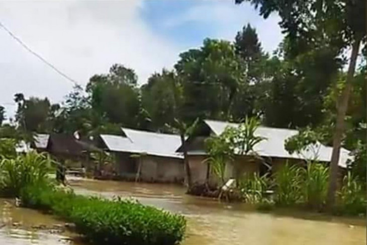 Ratusan rumah di Kabupaten Nias terendam banjir
