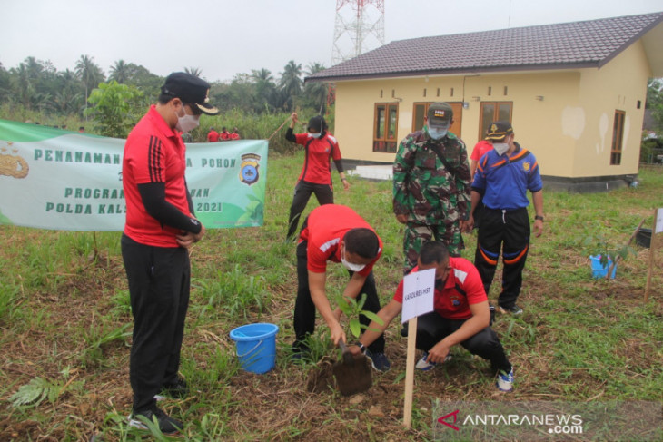 Seribu pohon ditanam untuk pelestarian lingkungan di HST