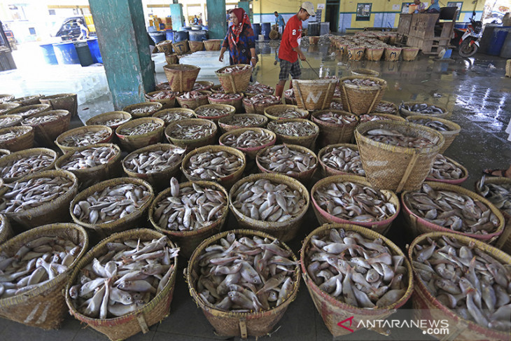 Produksi perikanan laut Indonesia 