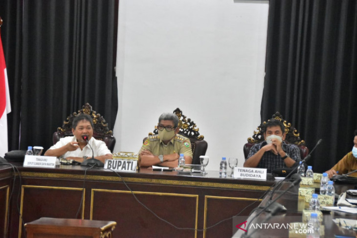 Pemkab Maluku Tenggara kembangkan rumput laut skala besar pada 2022 gairahkan perekonomian