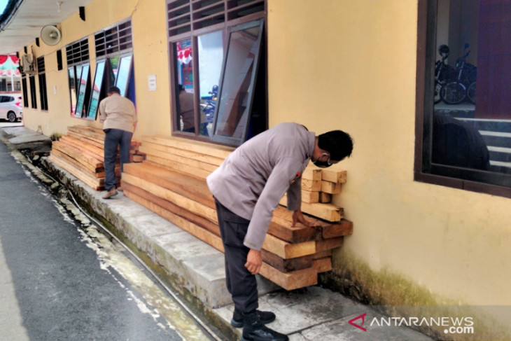 Polres Rejang Lebong tangkap tujuh terduga pelaku pembalakan liar